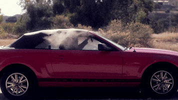 Hot Boxing GIFs - Get the best GIF on GIPHY