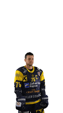 Zellamsee Ekz Sticker by EK Zeller Eisbären