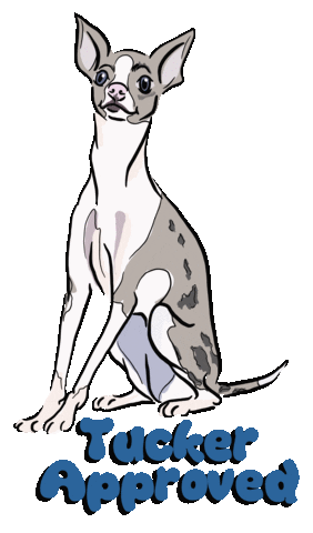 Ren's Pets Sticker
