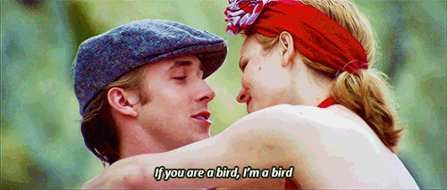 if you are a bird im a bird