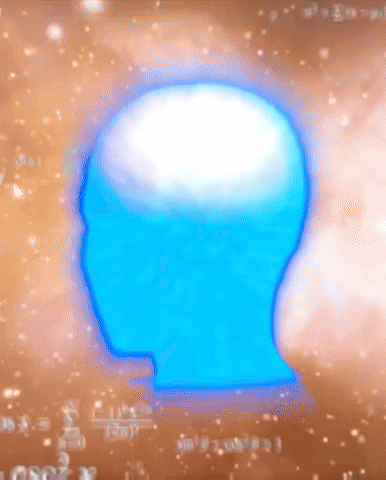 Wtf GIF