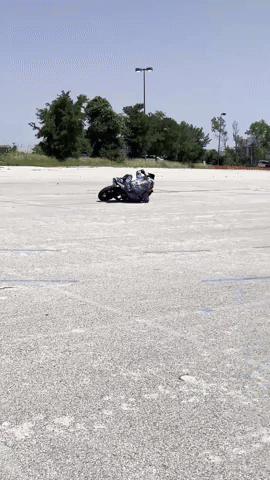 Animated GIF