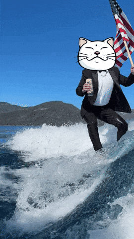 Cat Trump GIF by ShiroNeko