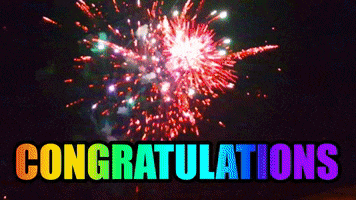Fireworks Congratulations GIF by KreativCopy