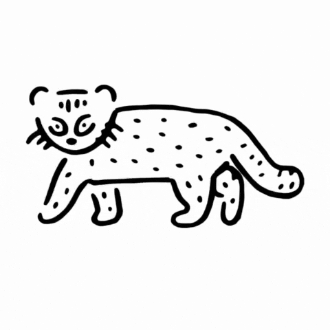 Cat ねこ GIF by KEEN Japan