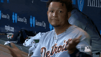 Come On Reaction GIF by Detroit Tigers
