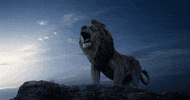 The Lion King GIF by Walt Disney Studios