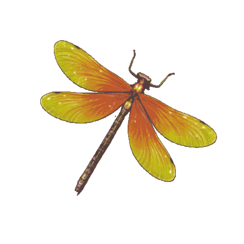 Sticker by brasseriemira