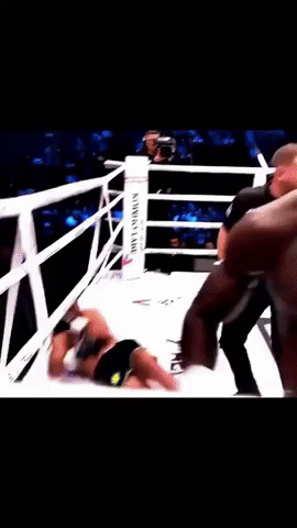 Fight GIF
