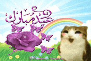 Meowl GIF
