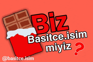 Basitceisim GIF