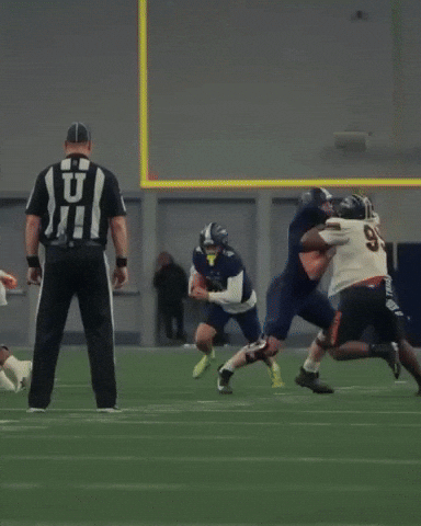 Fight On Lone Star GIF