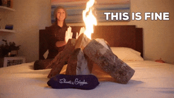 This Is Fine On Fire GIF by Sheets & Giggles