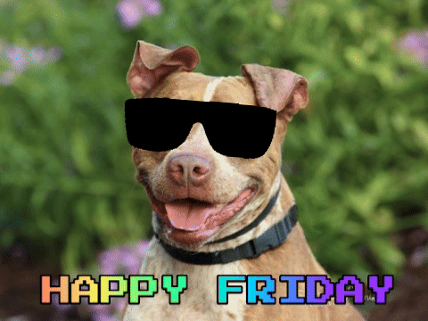 Happy Friday Images Funny Happy Friday Gifs - Get The Best Gif On Giphy