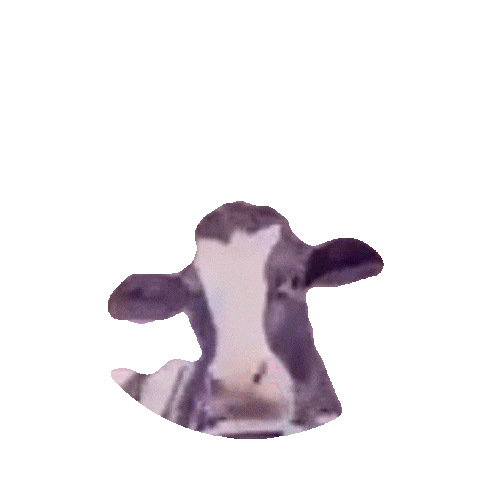 Mucca Sticker