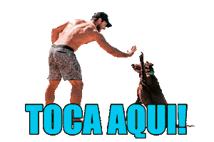 Bull Bali Sticker by Bono Surf Dog