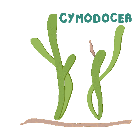 investigacionuca Sticker