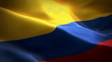 James Rodriguez Soccer GIF