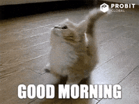 Gm GIFs - Get the best GIF on GIPHY