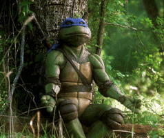 Ninja Turtle Game GIFs - Get the best GIF on GIPHY