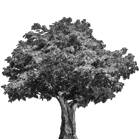 Work Tree Sticker by STRABAG