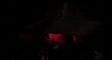 Cherry Blossom GIF by Universal Music Australia