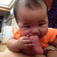 Hilarious Gif Funny Images Gif By Retrofunk Find Share On Giphy
