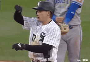 Major League Baseball GIF