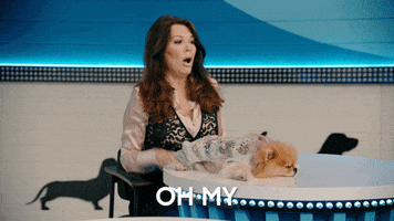 Game Show Dogs GIF by ABC Network