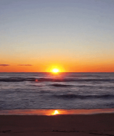 summer GIF