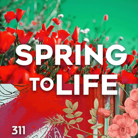 Flower Spring GIF by 311 Gallery