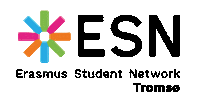 ESN Norway Sticker
