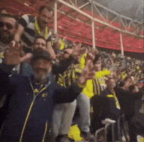 GIF by xslot.com