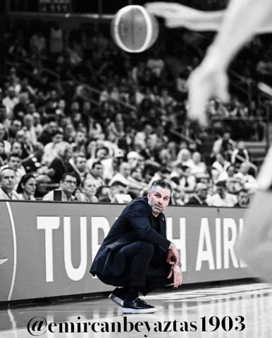 Beşiktaş Basketbol GIF