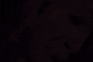 Dollhouse GIF by Shauna Brooks