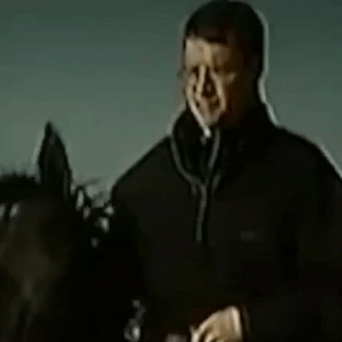 The Greatest Horse GIF by HRI