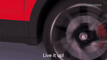 Driving Made In India GIF by Skoda India