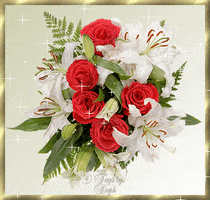 200.gif?cid=fc005b08c2e9a56e8f207b5670365aaf568246b7a58aa083&rid=200.gif&ct=g