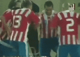 Paraguay Albirroja GIF