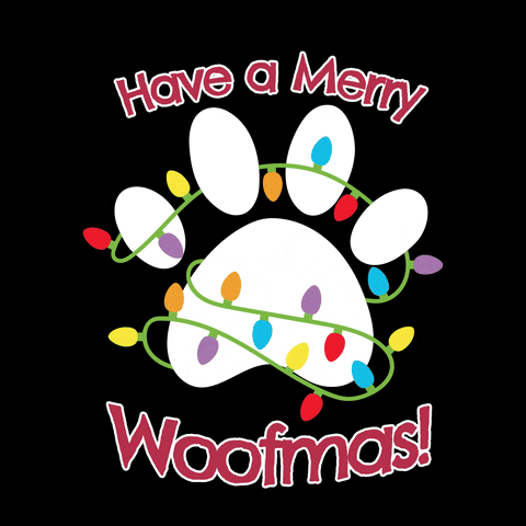 Woofmas GIF by Tail Waggin'
