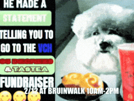 Tastea Bruinwalk GIF