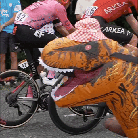 Cycling Supporter GIF by Amaury Sport Organisation