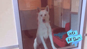 200.gif?cid=fc005b08f8c312a510a72090f00efc0e7ed3fad4e2d3c6d6&rid=200.gif&ct=g