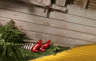 Wizard Of Oz GIF by Maudit