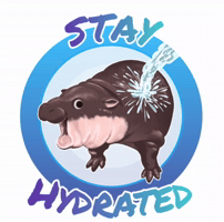 Hippo Stay Hydrated GIF