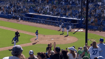 Happy Blue Jays GIF by Toronto Blue Jays