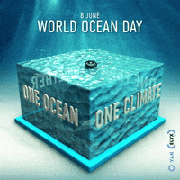 Oceans Day Gifs Get The Best Gif On Giphy