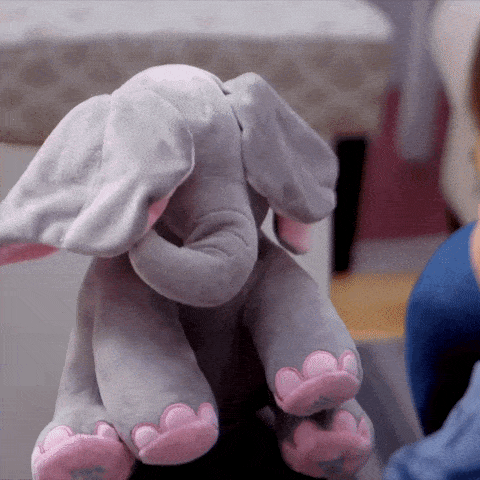 Peek-A-Boo Elephant Toy – Toyshop PK