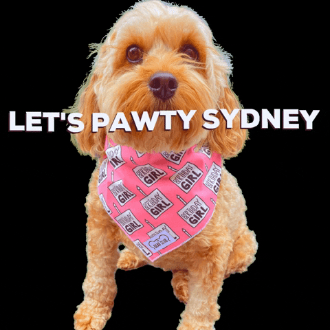 Let's Pawty GIF