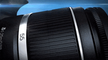 Logo GIF